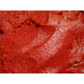 Hot Break Tomato Paste with High Quality